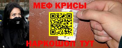 молекула духа Камышлов