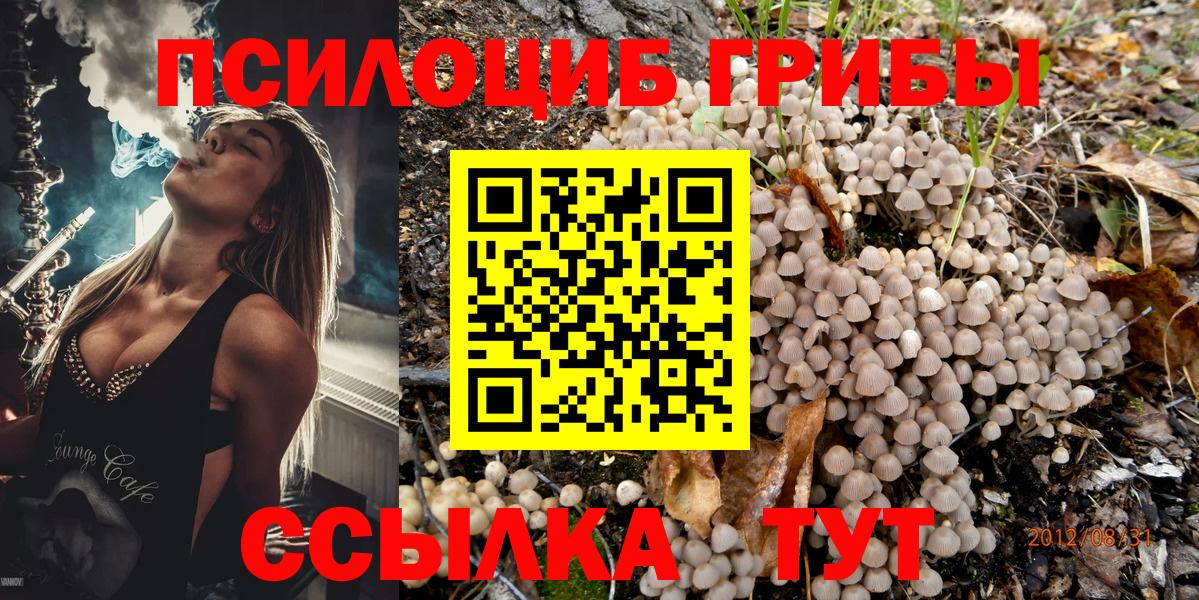 Псилоцибиновые грибы GOLDEN TEACHER Котовск