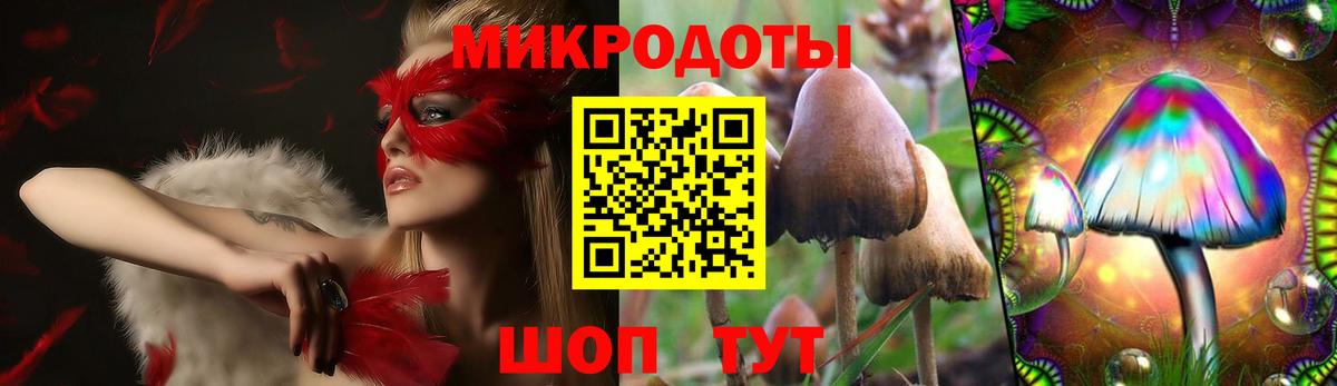 Котовск  Галлюциногенные грибы Magic Shrooms  Вход с VPN 